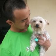 http://www.buddydog.net/wp-content/uploads/2013/05/Bella-1-wpcf_190x190.jpg
