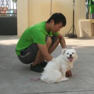 http://www.buddydog.net/wp-content/uploads/2013/05/Milo-3-wpcf_190x190.jpg