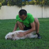 http://www.buddydog.net/wp-content/uploads/2013/05/Rusty-42-wpcf_190x190.jpg