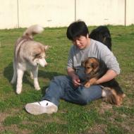 http://www.buddydog.net/wp-content/uploads/2013/05/Zoe-4-wpcf_190x190.jpg