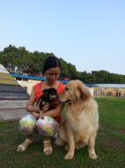 http://www.buddydog.net/wp-content/uploads/Abby-3-wpcf_142x190.jpg