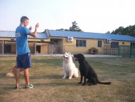 http://www.buddydog.net/wp-content/uploads/Camelot-2-wpcf_190x143.jpg