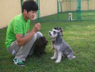 http://www.buddydog.net/wp-content/uploads/Genki-4--wpcf_190x143.jpg