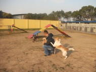 http://www.buddydog.net/wp-content/uploads/Maya-2-wpcf_190x143.jpg