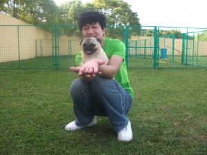 Muffin 2