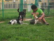 http://www.buddydog.net/wp-content/uploads/Snoet-3-5-wpcf_190x143.jpg