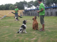 http://www.buddydog.net/wp-content/uploads/Snoet-4-2-wpcf_190x143.jpg